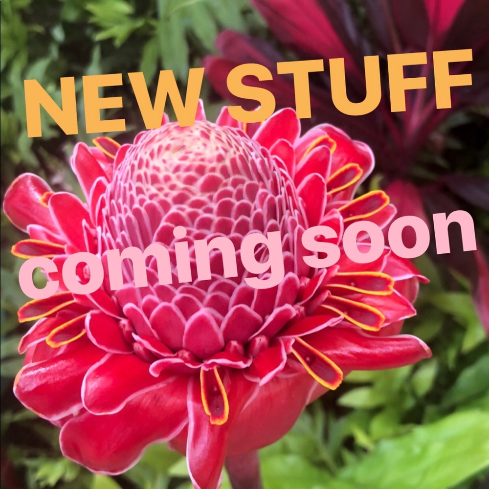 NEW ITEMS BEING ADDED SOON!!! Stay tuned :)